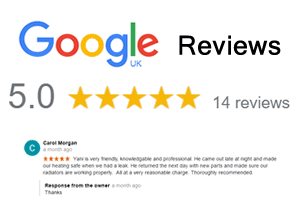 Google Reviews